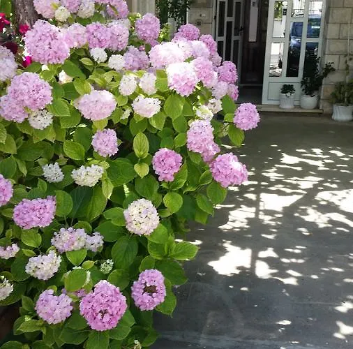 Apartman Ivo & Mare *